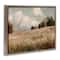 Stupell Industries Classic Cloudy Field Landscape Floater Framed Art